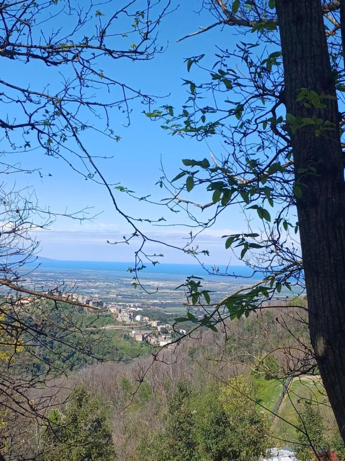 Casa Pernice Penta di Casinca Luaran gambar