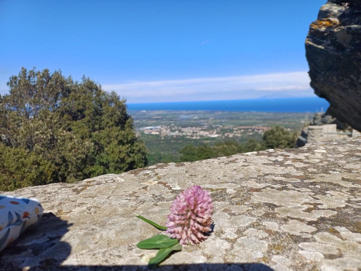 Casa Pernice Penta di Casinca Luaran gambar